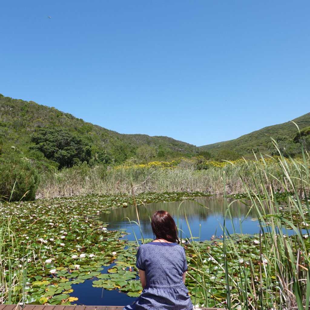 Retreat at Bodhi Khaya